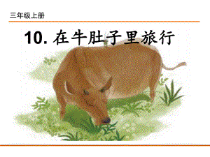 部编版三年级上册语文 10.在牛肚子里旅行 课件（25页）