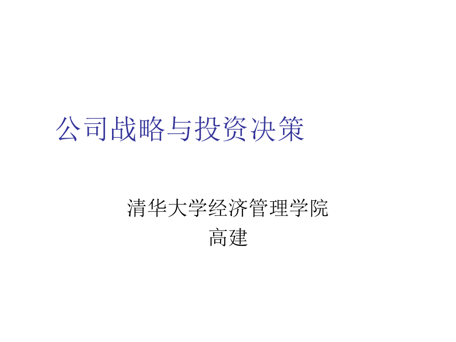 公司投資決策與戰(zhàn)略分析(ppt 98頁).ppt_第1頁