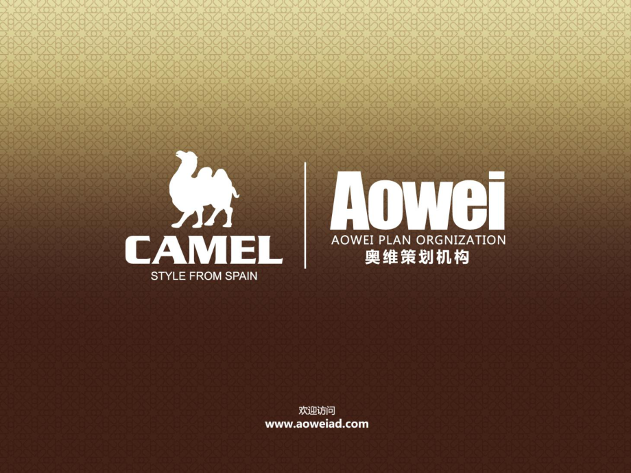 骆驼Camel品牌管理_第1页