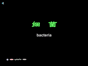 13第五单元第四章第二节细菌