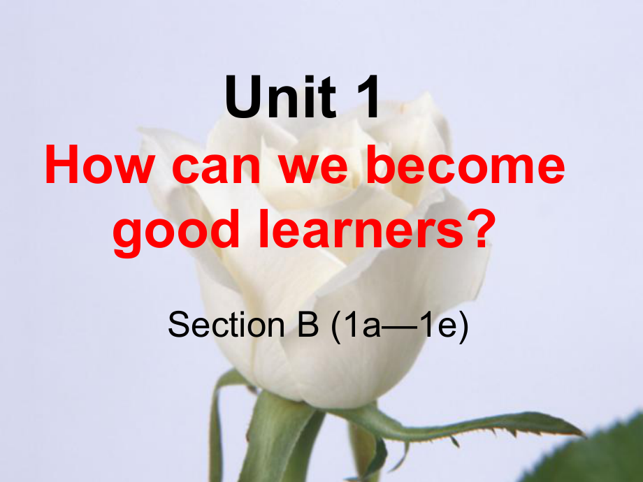 九年級英語全冊 Unit 1 How can we become good learners（第4課時）Section B（1a-1e）課件 （新版）人教新目標(biāo)版_第1頁