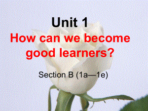 九年級英語全冊 Unit 1 How can we become good learners（第4課時）Section B（1a-1e）課件 （新版）人教新目標(biāo)版