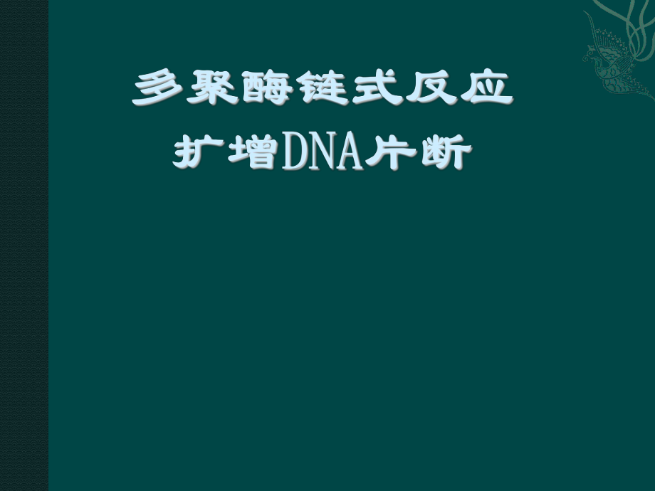 《多聚酶鏈?zhǔn)椒磻?yīng)擴(kuò)增DNA片段》_第1頁