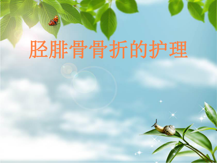 課件：脛腓骨骨折的護(hù)理.ppt_第1頁