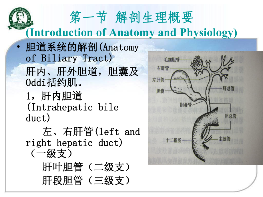 外科學課件膽道疾病