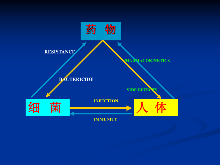 临床药理学:抗菌药物与细菌耐药机制_第2页