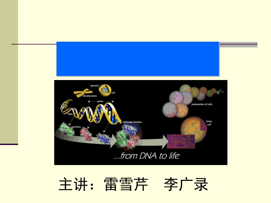 現(xiàn)代分子生物學(xué) 第一章+緒論_第1頁(yè)