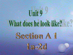 七年級英語下冊 Unit 9 What does he look like（第2課時(shí)）Section A（1a-2d） （新版）人教新目標(biāo)版