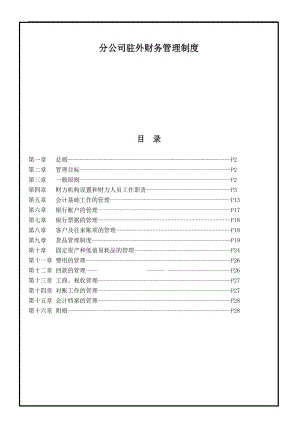 分公司財務(wù)管理制度.doc