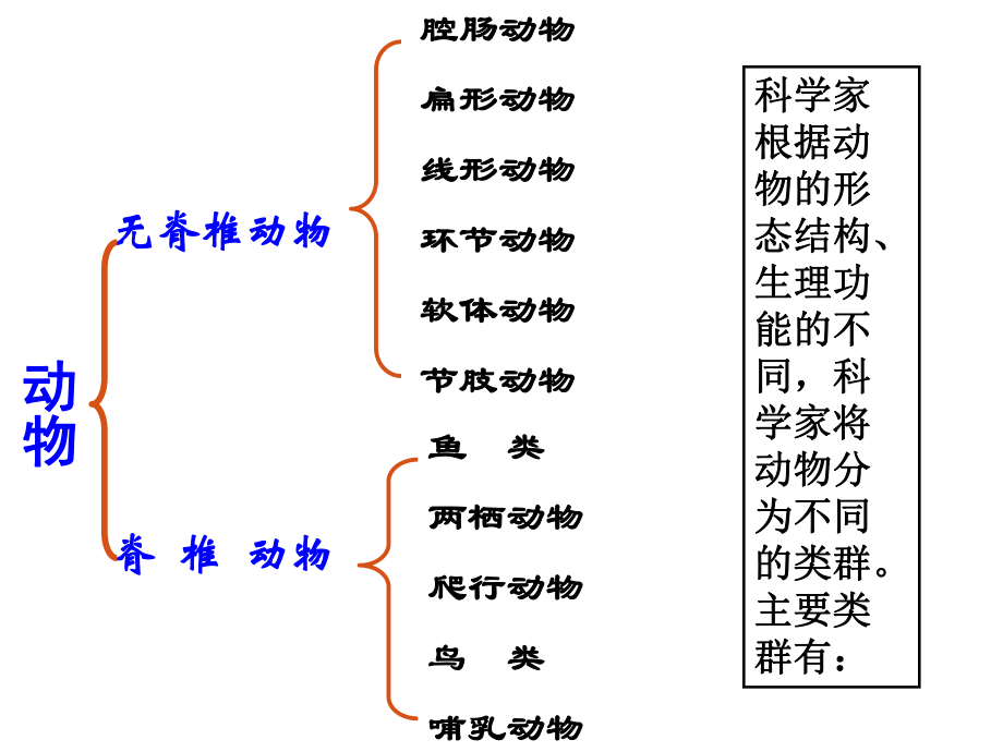 511腔肠动物和扁形动物_第1页