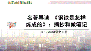 部編八年級(jí)語文下冊(cè)課件-名著導(dǎo)讀 《鋼鐵是怎樣煉成的》：摘抄和做筆記