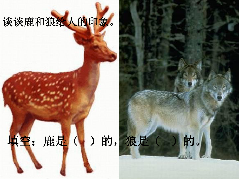 六年级语文上册鹿和狼的故事4课件人教版_第1页