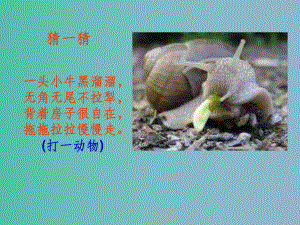 六年级语文上册蜗牛慢条斯理的生活课件2语文A版