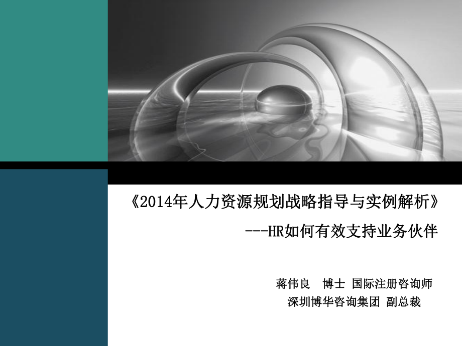 《X年人力资源规划战略指导与实例解析》_第1页