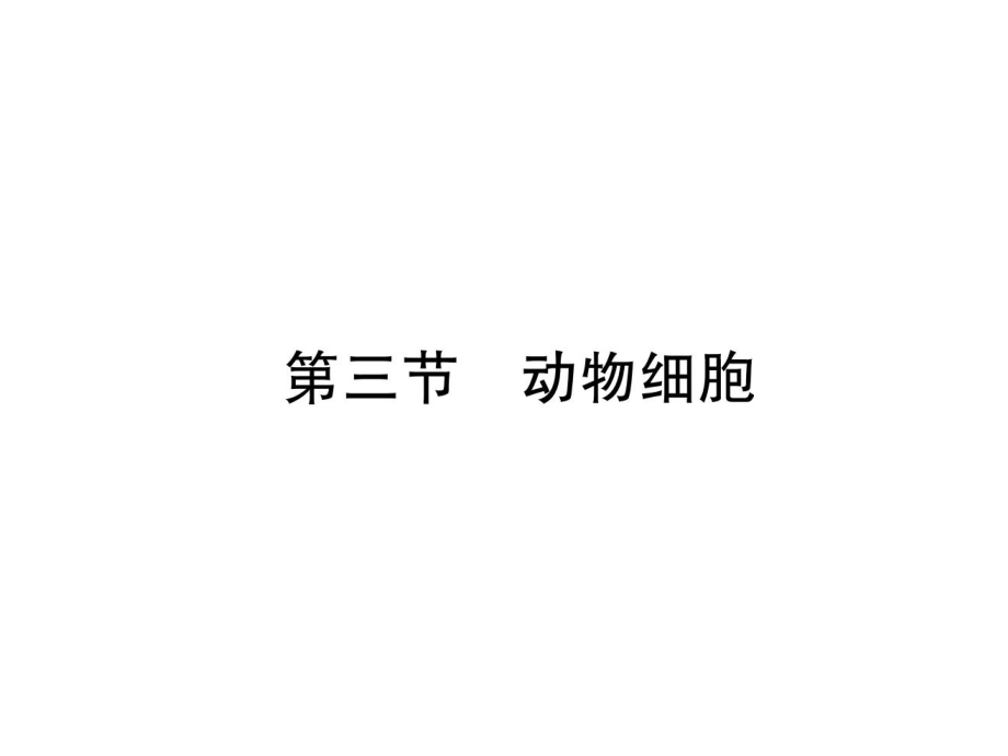 人教版生物七年級(jí)上冊(cè)2.1.3動(dòng)物細(xì)胞 作業(yè)課件_第1頁(yè)