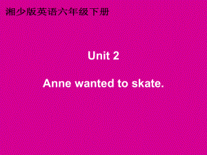 湘少版英語六下Unit Anne wanted to skatePPT課件