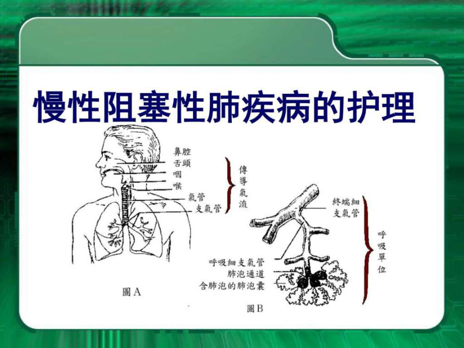 老年人呼吸系统常见疾病的护理ppt课件_第1页