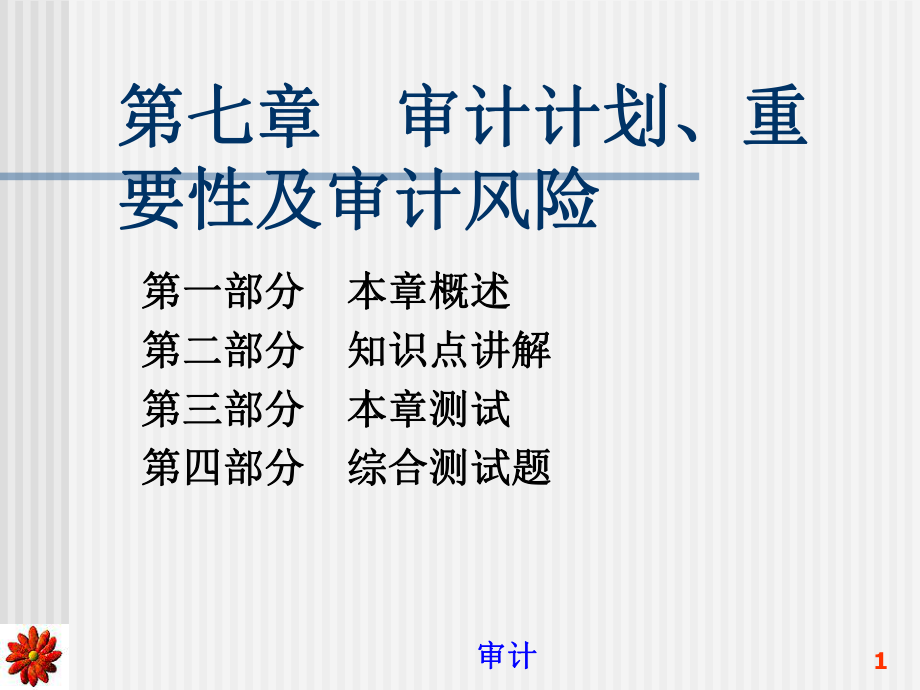 審計計劃、重要性及審計風險(ppt 173頁)_第1頁