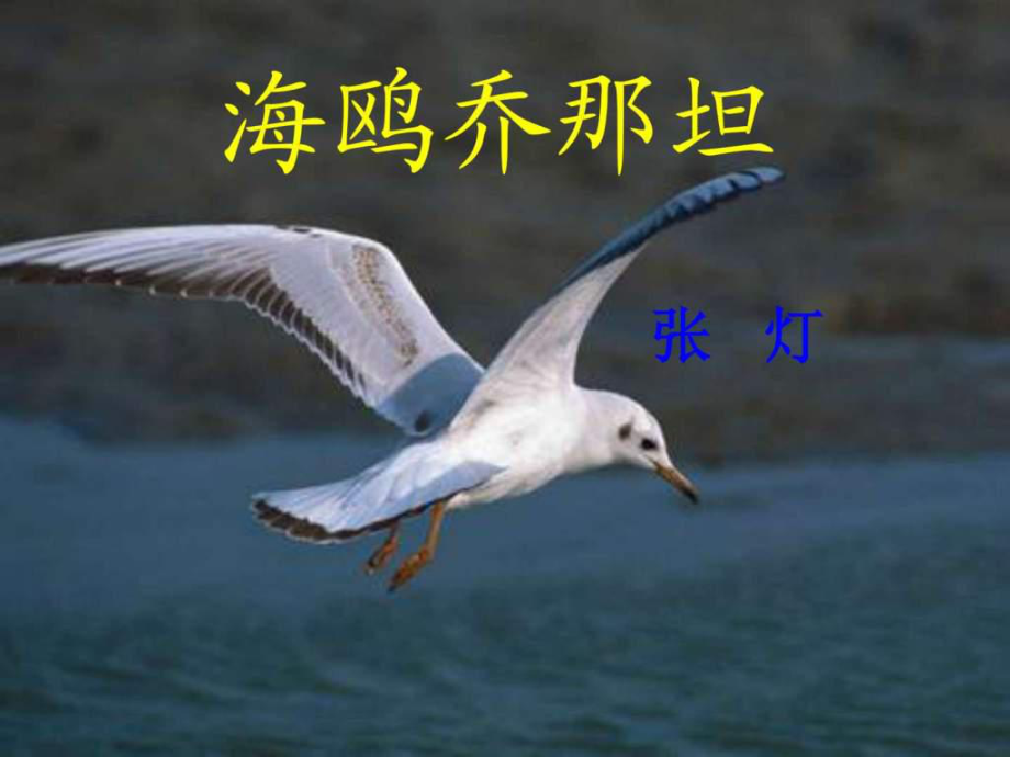 學(xué)七年級語文上冊 3海鷗喬那坦課件....ppt_第1頁