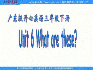 廣東版(開心三下Unit 6 What are theseppt課件