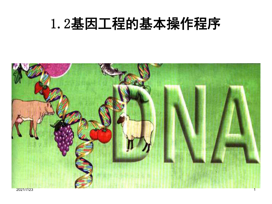 1.2基因工程的基本操作程序PPT课件_第1页