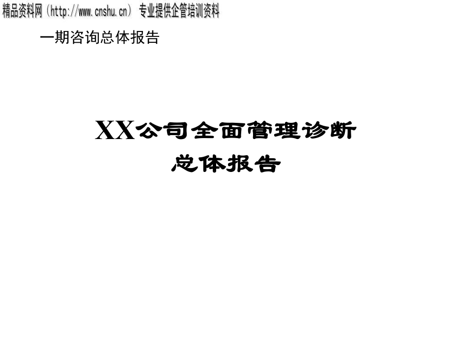 某公司全面管理诊断报告分析_第1页