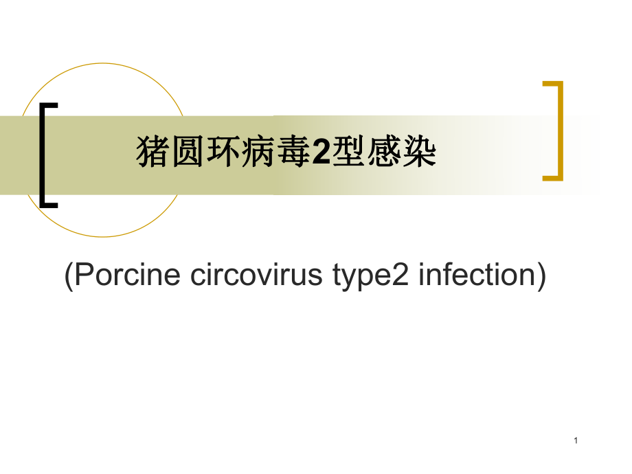 猪圆环病毒感染PPT课件_第1页