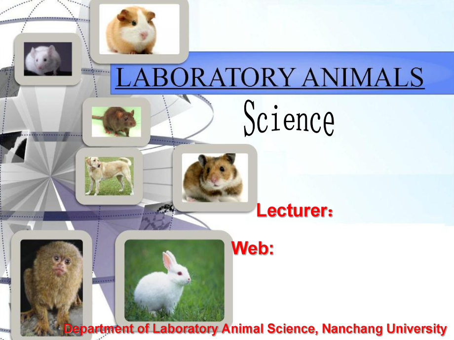 动物实验的环境控制_第1页