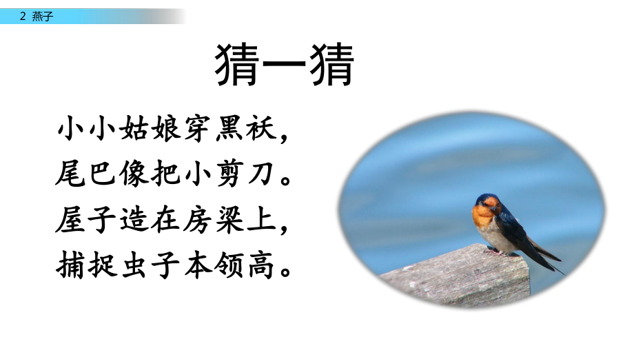 部編版三年級(jí)下冊(cè)語文 2燕子 課件（53頁）_第1頁