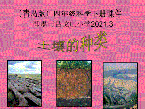 青岛版四年级科学下册土壤的种类ppt课件