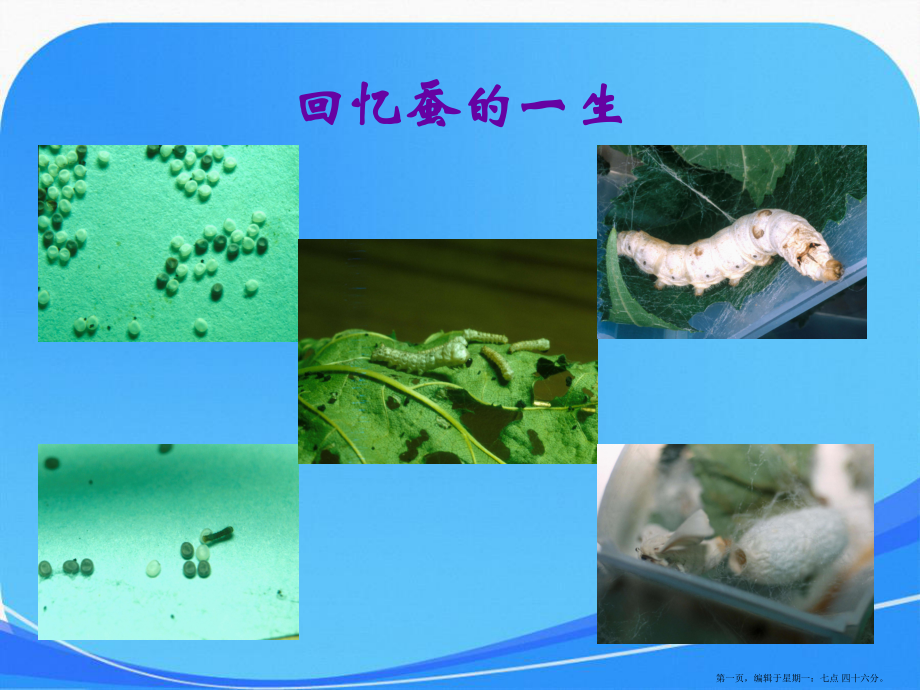 苏教版四年级科学下册课件我们来抽丝1_第1页