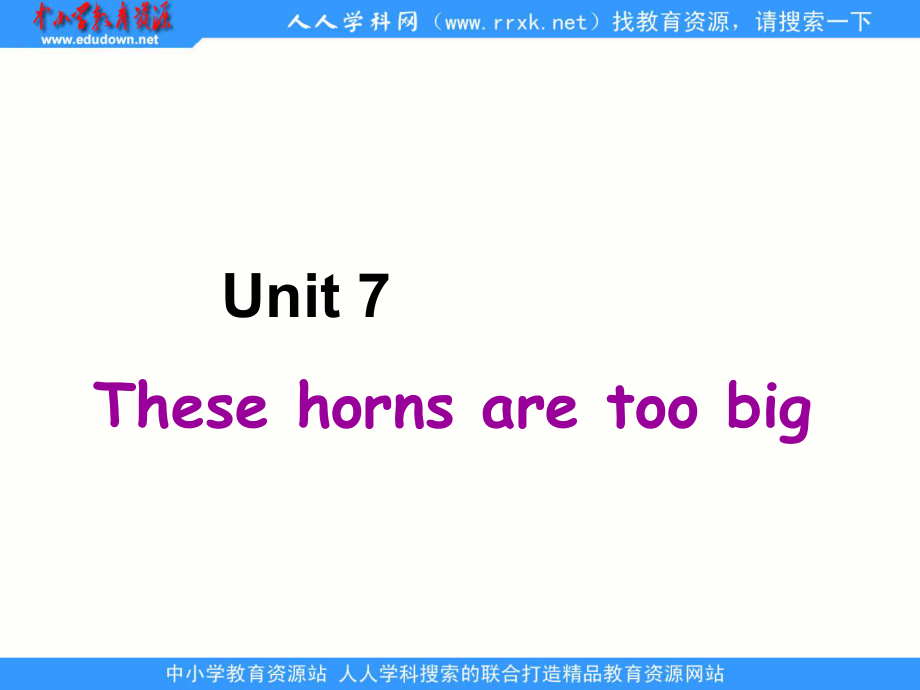 湘少版六上Unit 7 These horns are too big課件_第1頁