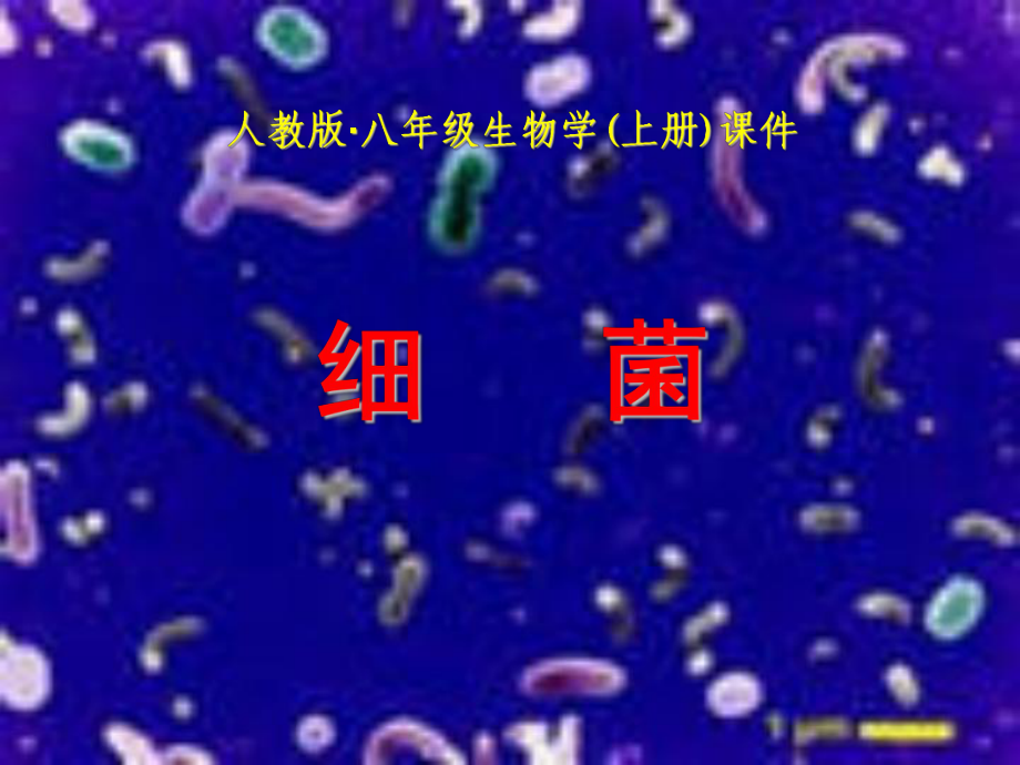 人教版八年级生物学上册课件_第1页