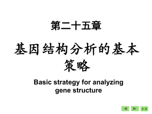 第25章基因结构分析的基本策略