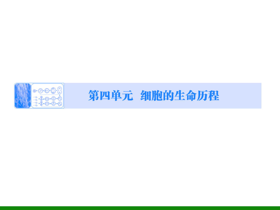 必修1第4单元第讲 细胞的增殖 新坐标高中生物配套ppt课件_第1页