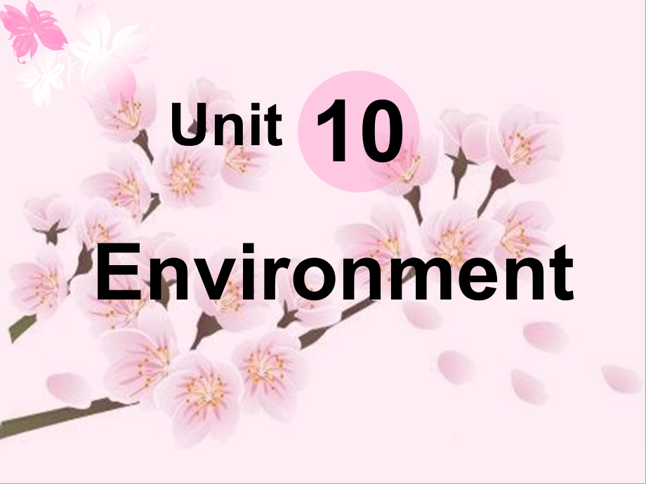 語文版中職英語基礎(chǔ)模塊 下冊Unit 10Environmentppt課件3_第1頁