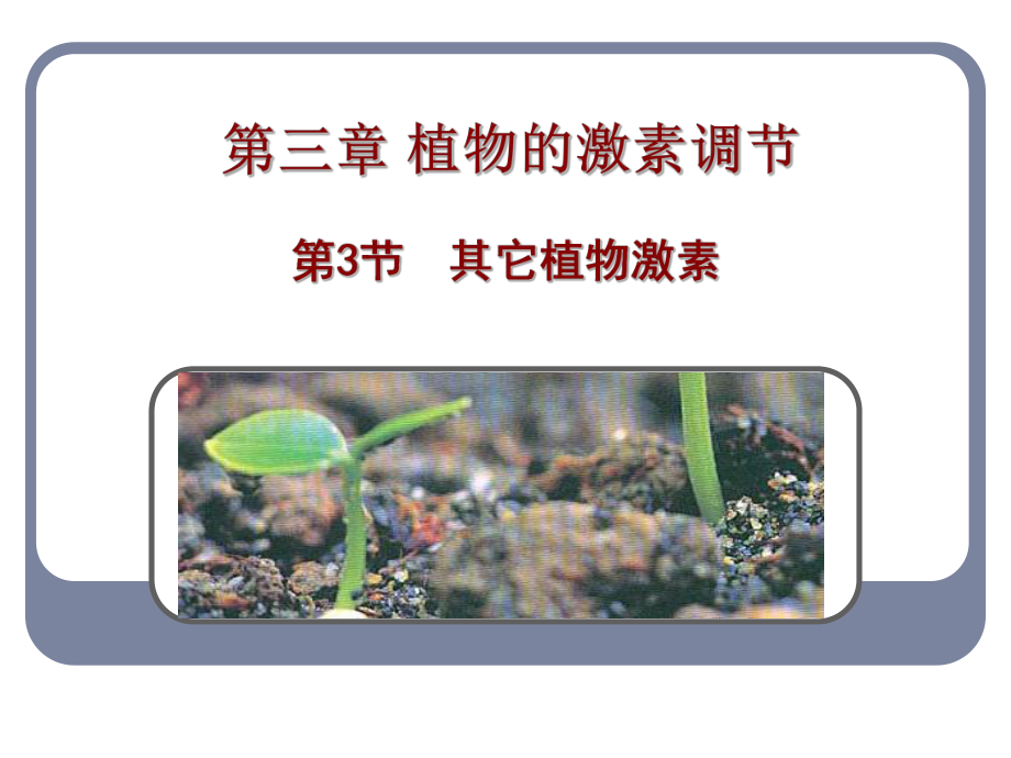 人教版教学课件必修3第三节其它植物激素_第1页