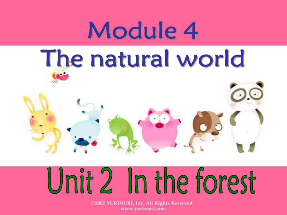 牛津深圳版英語二上Unit 11 In the forest課件3_第1頁