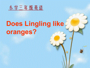 外研版(三起)三下Unit 2 Does Lingling like oranges課件