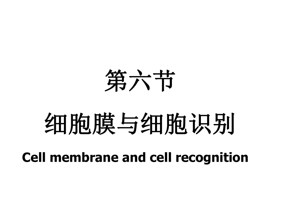 六节细胞膜与细胞识别_第1页