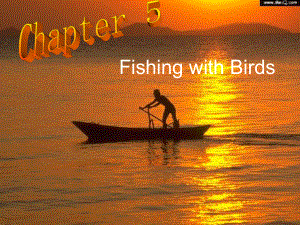 牛津上海版英語九上Chapter 5 Fishing with birds課件