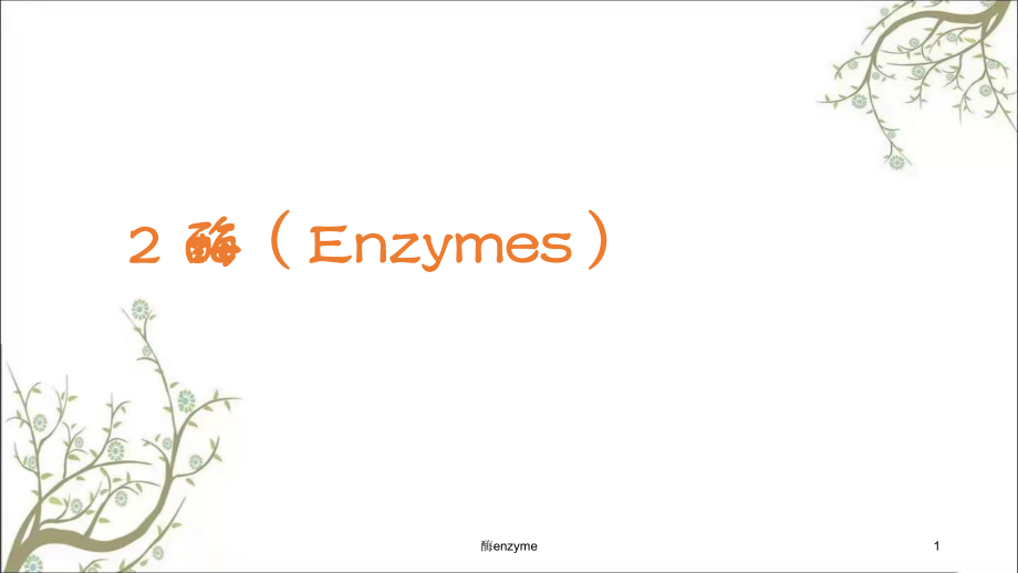 酶enzyme课件_第1页