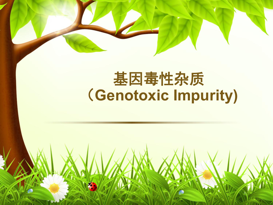 基因毒性杂质(genotoxic_第1页