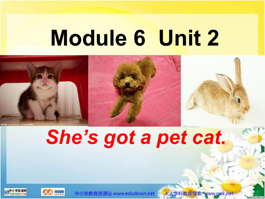 外研版(一起)三上Unit 2 She’s got a pet cat課件_第1頁