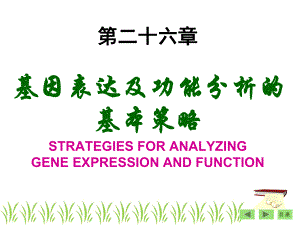 第26章基因表达及功能分析基本策略