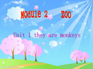 外研版(三起)三下Unit 1 They are monkeys課件4