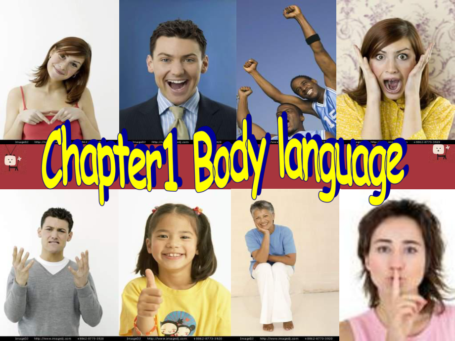 牛津深圳版英語九年Chapter 1 Body languageVocabulary課件_第1頁