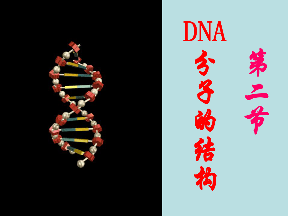 人教版教学课件DNA分子的结构课件_第1页