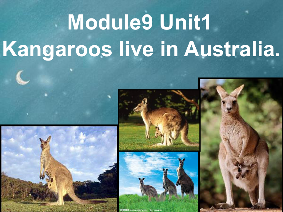 外研版一起四下Module 9 Unit 2Kangaroos live in Australia課件2_第1頁(yè)