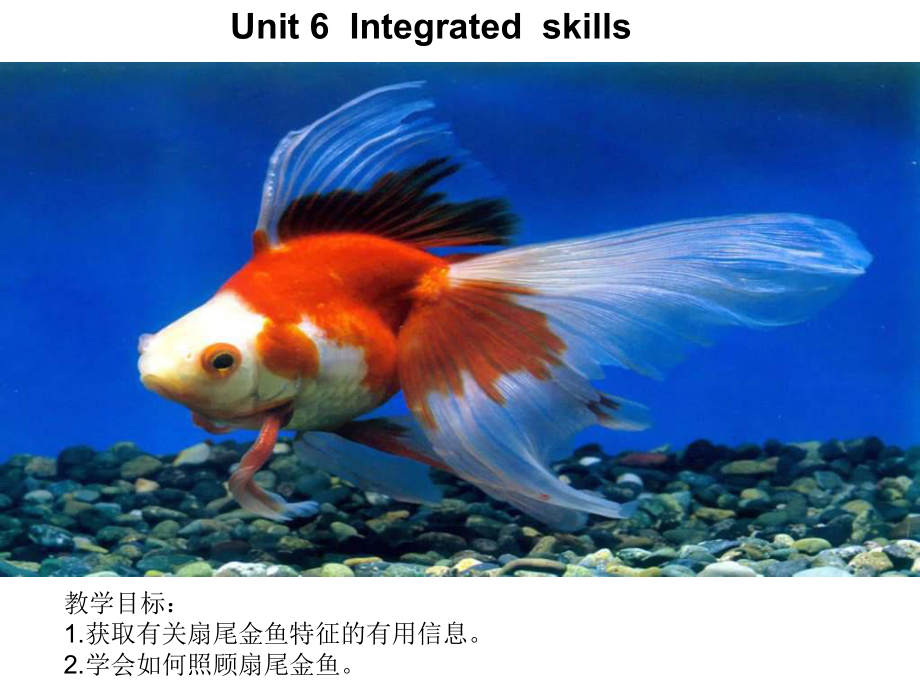 牛津譯林版英語七下Unit 6 Pets(Integrated skills)課件1_第1頁